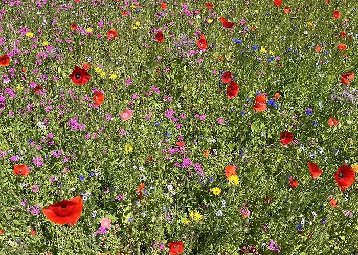 River Pearl - Garnitzenklamm * Moderndorf